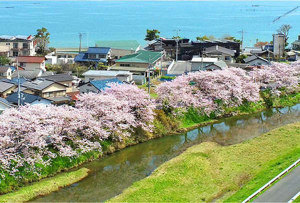 現地10階相当からの眺望写真(おおみ路)