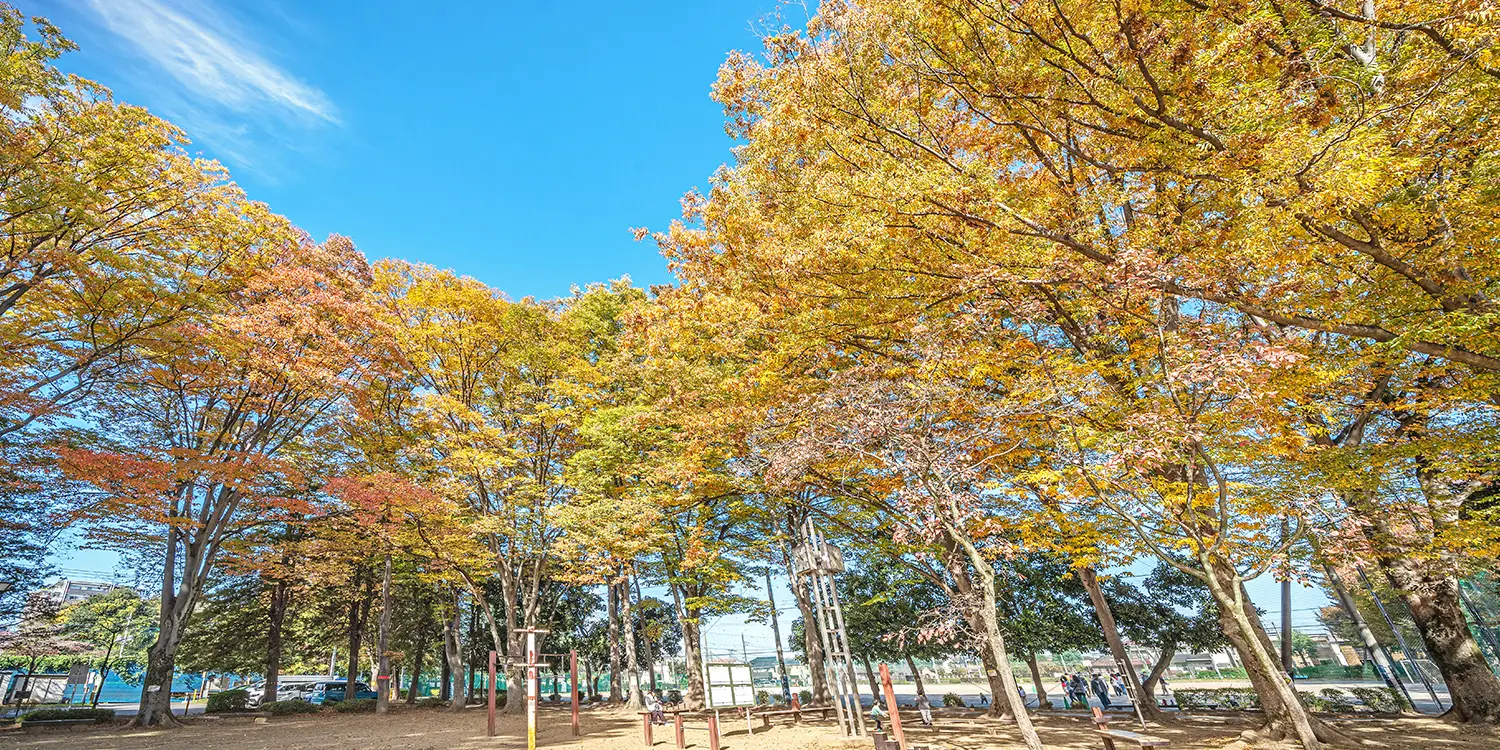 東大宮中央公園