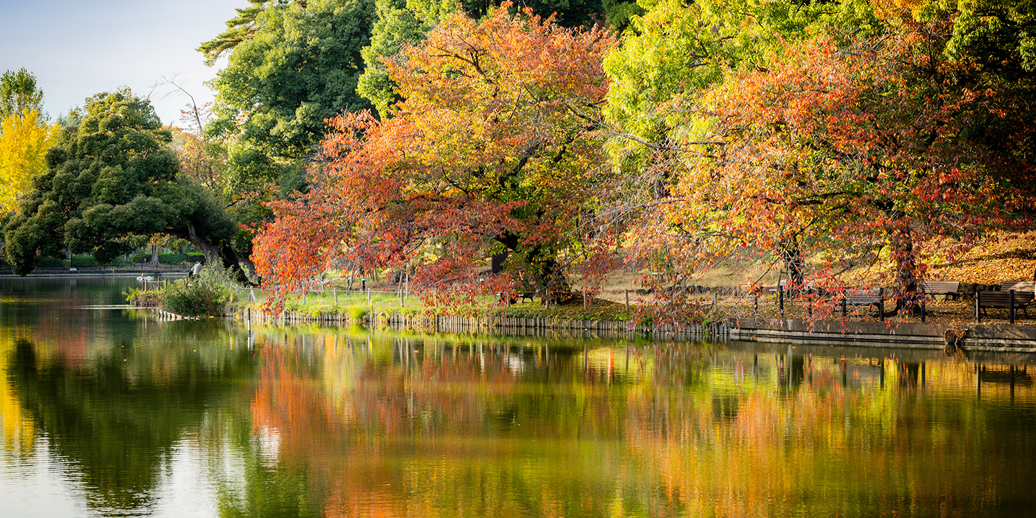 大宮公園 約49分