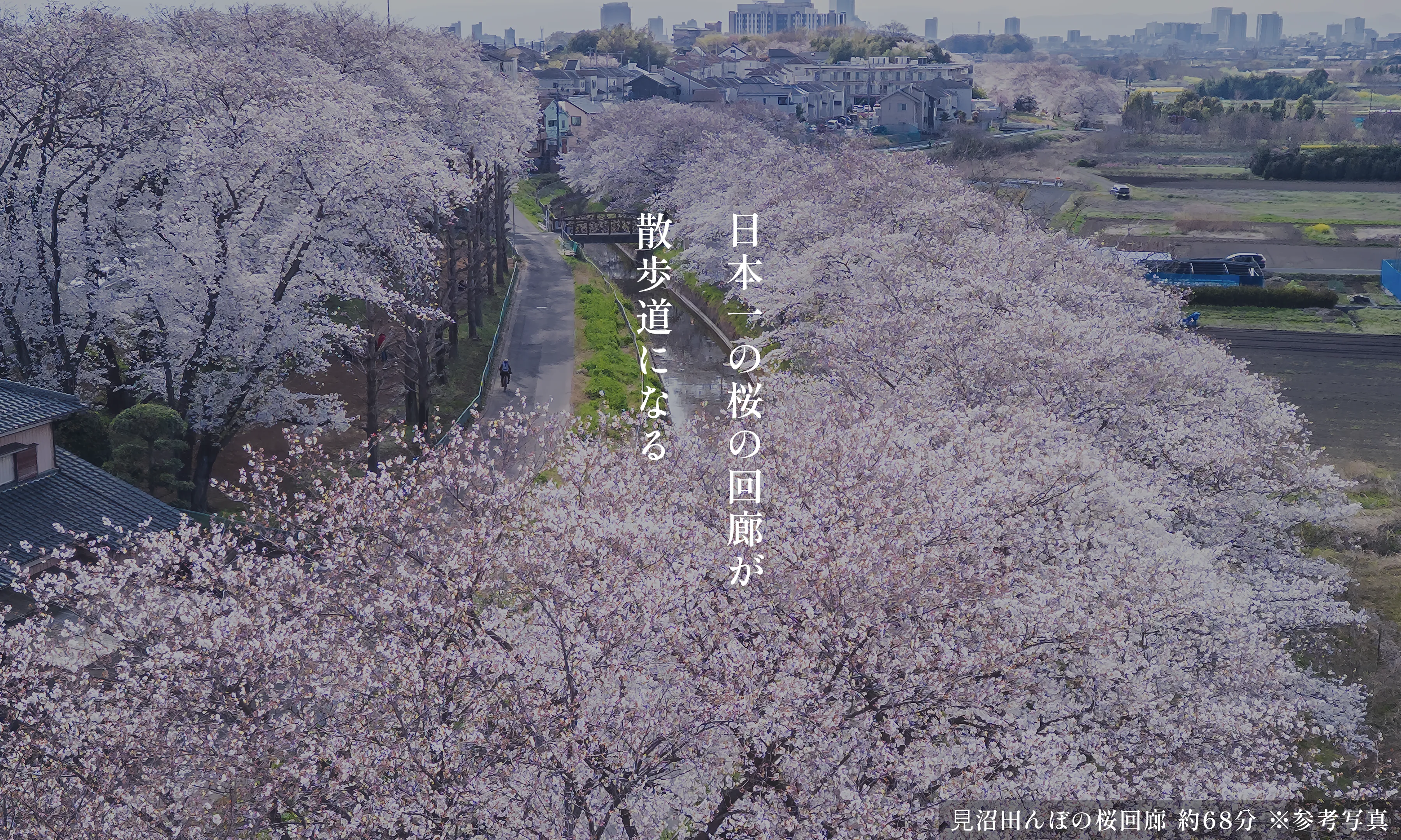 大宮 中楽坊 メインビジュアル