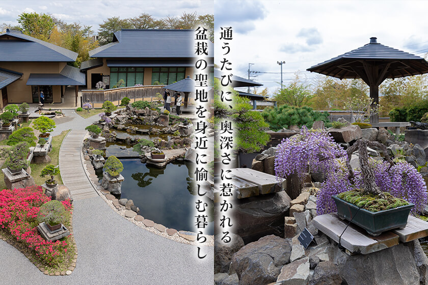 通うたびに、奥深さに惹かれる盆栽の聖地を身近に愉しむ暮らし